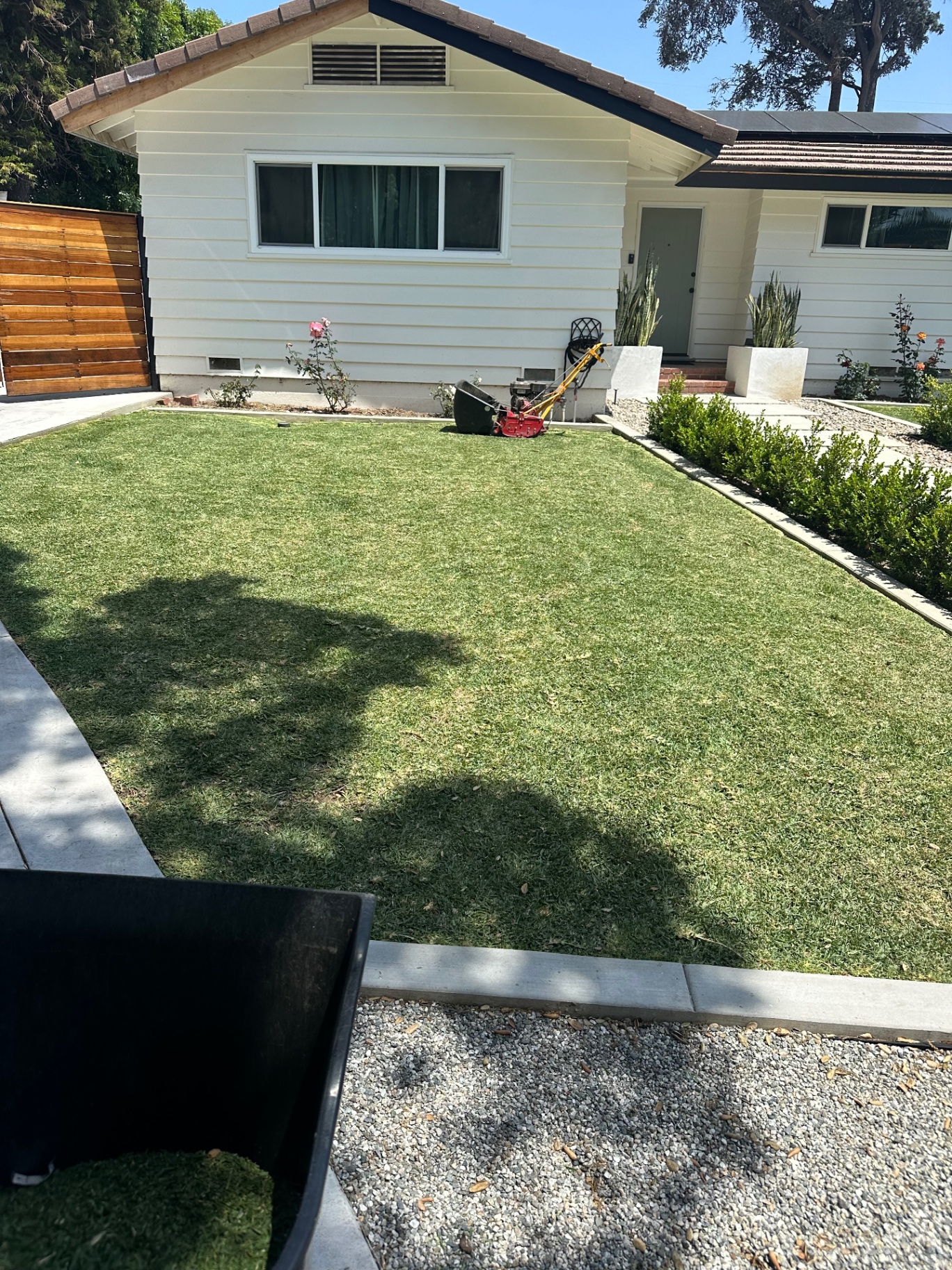 Freshly mowed front lawn with manicured hedges and planting beds on a completed lawn maintenance project
